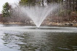 Fawn Lake Fountains SF75 Floating Fountain 7 Patterns Energy-Efficient 110V