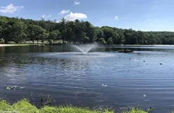 Fawn Lake Fountains SF75 Floating Fountain 7 Patterns Energy-Efficient 110V