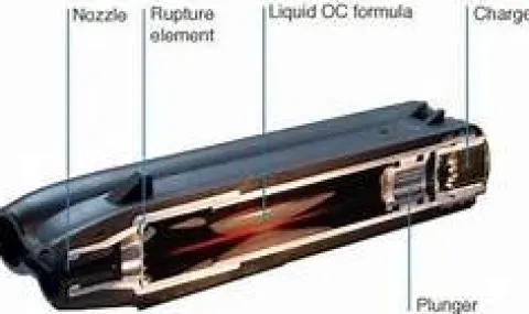 FIRESTORM PIEXON LE 2 Shot Pepper Spray Gun with LED Bundle