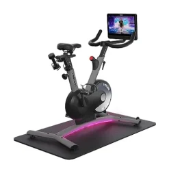 freebeat. Exercise Bike Mist Gray