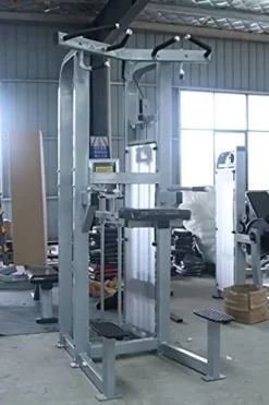 French Fitness Shasta Assisted Chin Dip (New)