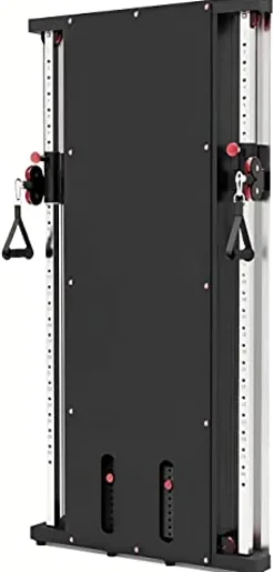 French Fitness Wall Mounted Dual Cable Column Component