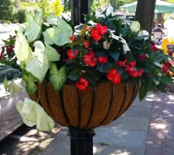 Garden Artisans 25 in Lamppost Hayrack with Molded Coco Liner – 2 Pack Black Brown