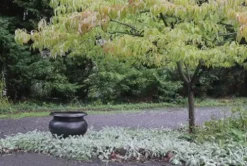 Garden Artisans ‘Arzu’ Brass Urn Planter 24 Inch Diameter Brass Bronze Finish