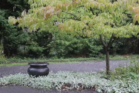 Garden Artisans ‘Arzu’ Brass Urn Planter 24 Inch Diameter Brass Bronze Finish