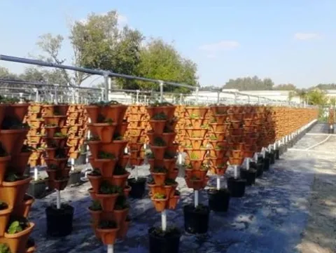 Generic U-Pick Garden Vertical Planters Black