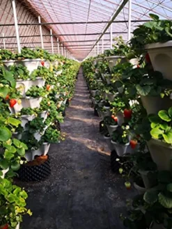 Generic U-Pick Garden Vertical Planters Black