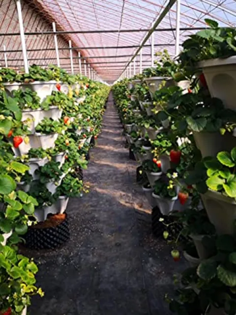 Generic U-Pick Garden Vertical Planters Black