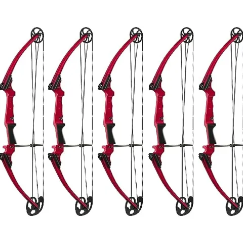 GENESIS Archery Compound Bow Adjustable Draw Length 15″-30″ & Weight 10-20 lbs Right-Handed Red