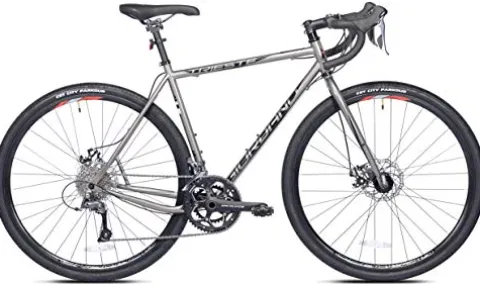 Giordano Trieste Gravel Bike 700c Small Gray