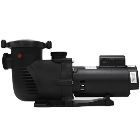 goodyusstore Energy-Efficient In-Ground Pool Pump 1.5hp Black