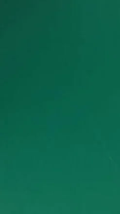 Gorina Granito Carom Cloth Yellow Green 10′