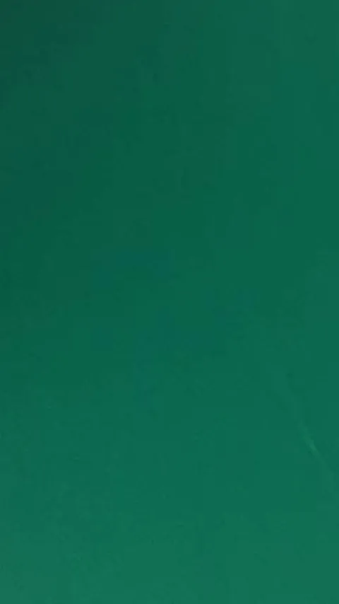 Gorina Granito Carom Cloth Yellow Green 10′