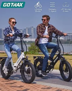Gotrax F2 20″ Folding Electric Bike Black Large