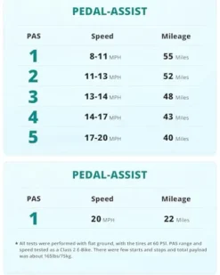 Gotrax F2 20″ Folding Electric Bike Black Large