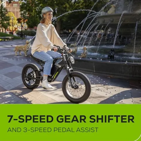 Greenworks 80V 20″ All-Terrain Fat Tire Electric Bike Black