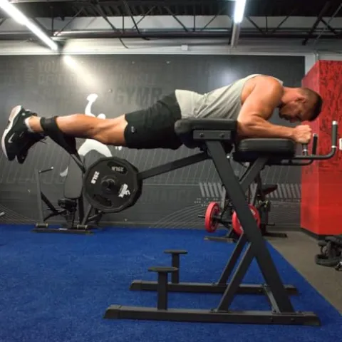 Gronk Fitness Reverse Hyperextension Machine Black