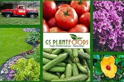 GS Plant Foods Liquid Fish Fertilizer OMRI Listed 275 Gallon