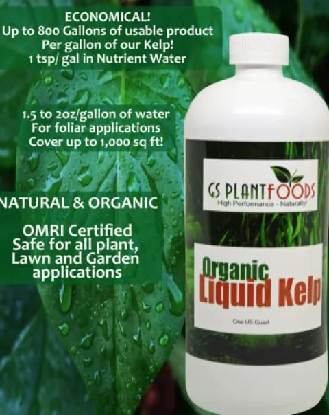 GS Plant Foods Seaweed Fertilizer OMRI Organic Liquid Kelp Concentrate 55 Gallon