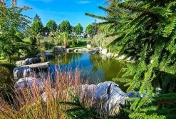 HALF OFF PONDS PondBuilder Elite 6100 Complete Water Garden and Pond Kit with EPDM Liner Black