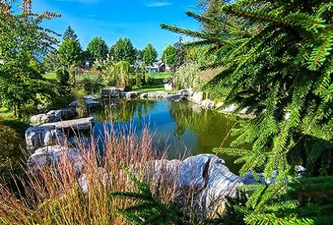 HALF OFF PONDS PondBuilder Elite 6100 Complete Water Garden and Pond Kit with PVC Liner Black