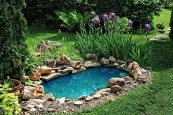 HALF OFF PONDS Savio Select 3000 Water Garden and Pond Kit with EPDM Rubber Liner & UV Clarifier Black