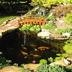 HALF OFF PONDS Savio Signature 4000 Water Garden and Pond Kit with EPDM Rubber Liner and UV Clarifier Black