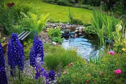 HALF OFF PONDS Savio Signature 5200 Complete Water Garden and Pond Kit with EPDM Liner Black 20ft x 20ft