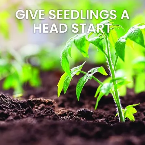 Hanover 8-Ft. x 6-Ft. Polycarbonate Walk-In Greenhouse Green