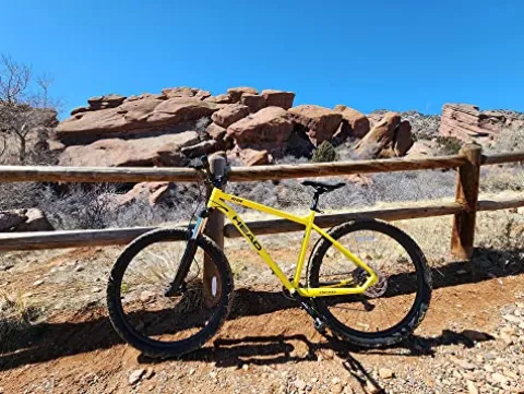 HEAD Berm 29er Mountain Bike Yellow