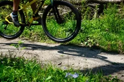 HEAD Berm 29er Mountain Bike Yellow