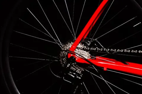 HEAD Pava 22 Speed Aluminum Road Bicycle with Carbon Fork Red