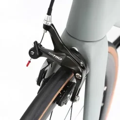 Hearts Bio Carbon Road Bike Model H Tiagra 20s – HeartsGray