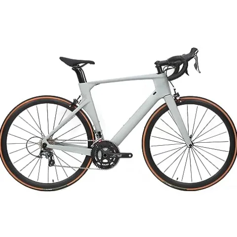 Hearts Bio Carbon Road Bike Model H Tiagra 20s – HeartsGray