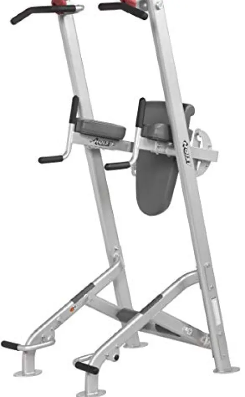 HOIST Fitness Dip Station & Pull Up Bar Platinum