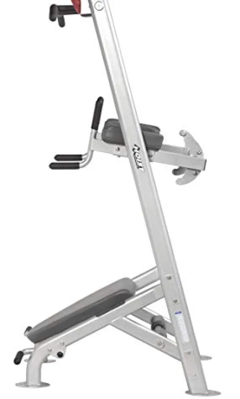 HOIST Fitness Dip Station & Pull Up Bar Platinum