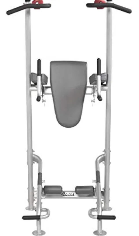 HOIST Fitness Dip Station & Pull Up Bar Platinum