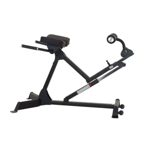 Inspire Fitness Hyper Extension/Roman Chair Black