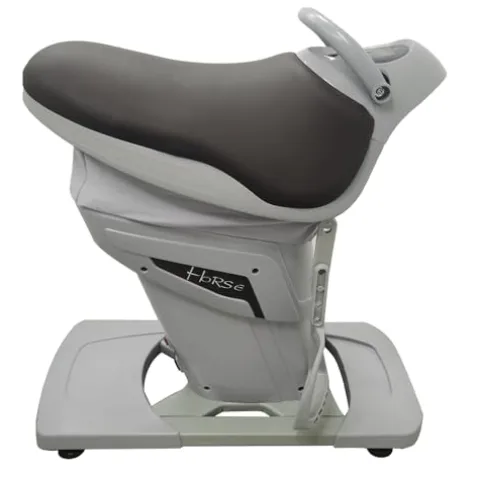 INTSUPERMAI Horse Riding Abdominal Exercise Machine 110V Grey