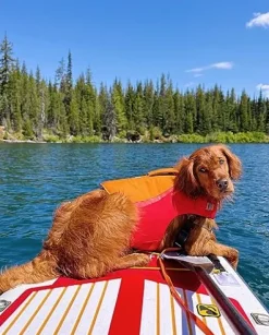 iROCKER Blackfin Model XL Inflatable Stand Up Paddle Board Blue Green