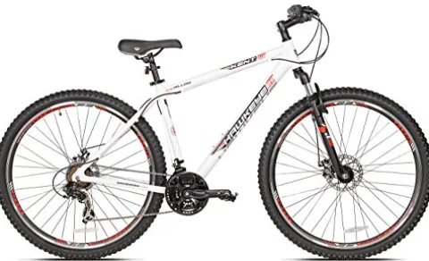 Kent International Kent Hawkeye Mountain Bike 29″ Black/White