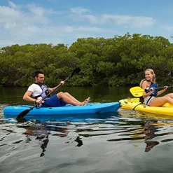 Lifetime Lotus Sit-On-Top Kayak with Paddle (2 Pack) Blue