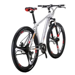LZBIKE Aluminum Alloy Mountain Bike 21 Speed Shock Absorption Silver