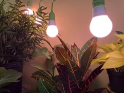 Miracle LED Smokephonics Powervine Indoor Grow Light Kit with Multi-Spectrum Bulbs