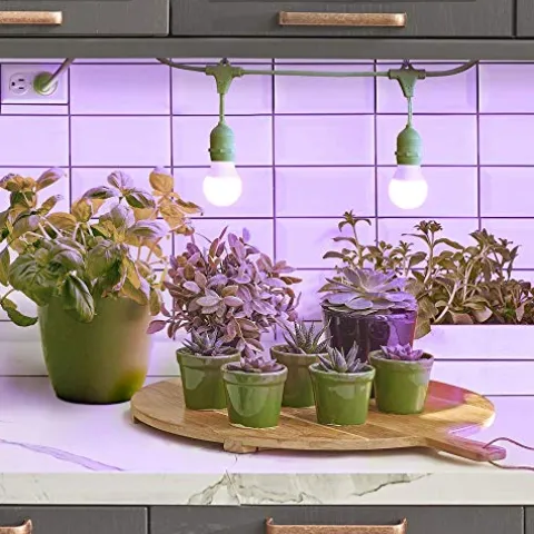 Miracle LED Smokephonics Indoor Grow Light Kit – 150W Red & Blue Spectrum