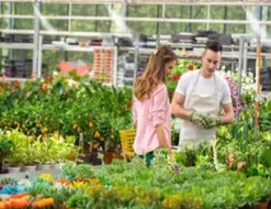 Mistcooling Automatic Greenhouse Humidification System with Humidity Controller 150 Ft – 15 Nozzles