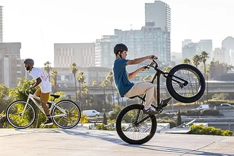 Mongoose Hooligan Fat Tire Adult BMX Bike Black