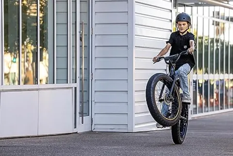 Mongoose Hooligan Fat Tire Adult BMX Bike Black