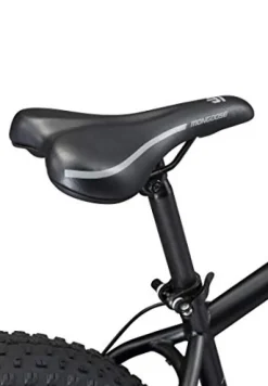 Mongoose Malus Fat Tire Mountain Bike 26-Inch Matte Black