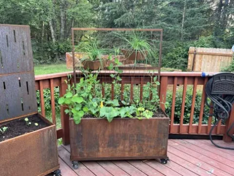 Nice Planter Corten Screen Trough Frost Gray